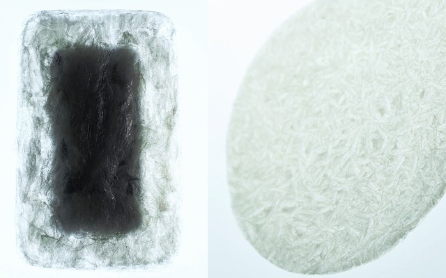 AGAR PLASTICITY-A POTENTIAL USEFULNESS OF AGAR FOR PACKAGING AND MORE