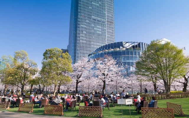東京ミッドタウンで「Midtown Blossom 2016」3月18日（金）から4月17日（日）開催