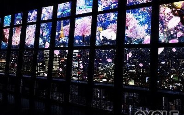 東京タワー、夜桜のプロジェクションマッピングで一足早いお花見を楽しむ