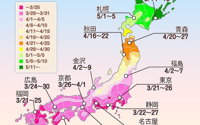 桜開花予想