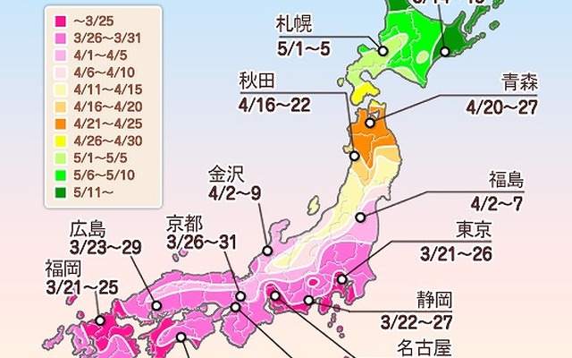 第3回桜開花予想