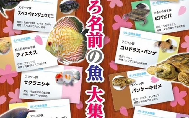 春の特別展「おもしろ名前の魚 大集合！」