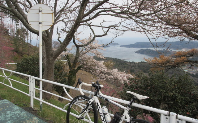 気仙沼大島の最高峰、亀山に登る。4月中旬でサクラはすでに満開となった