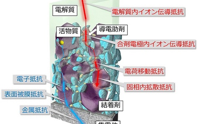 リチウムイオン電池合剤電極の模式図、電子は集電体側。リチウムイオンは電解質側から供給される。