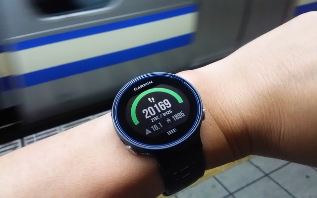 ライフログ機能の万歩計。この日は目標9426歩に対して達成率213％の2万169歩