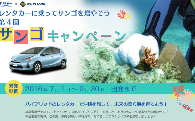 レンタカーに乗って、サンゴを増やそう