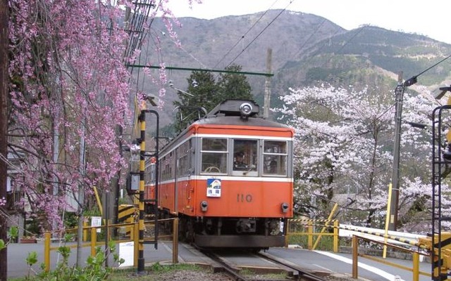 箱根登山鉄道の110号。来年2月に引退する。