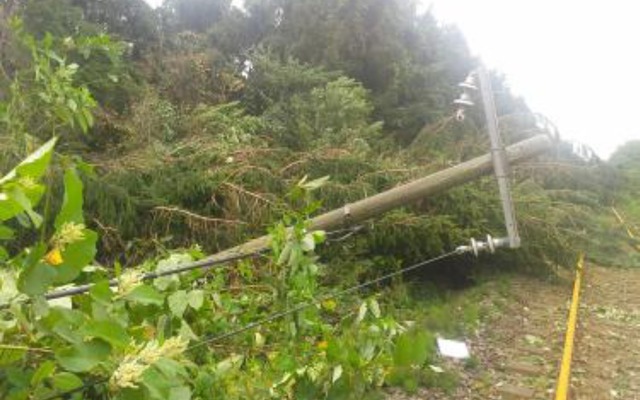 函館本線は倒木による電気設備の断線が発生。9月3日18時頃までに全線の運転を再開する予定だ。