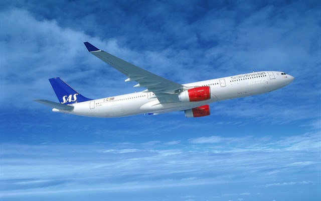 スカンジナビア航空機　source: SAS