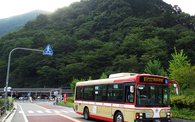 西東京バス（東京・奥多摩）