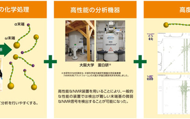 天然ゴムの末端基構造を解析