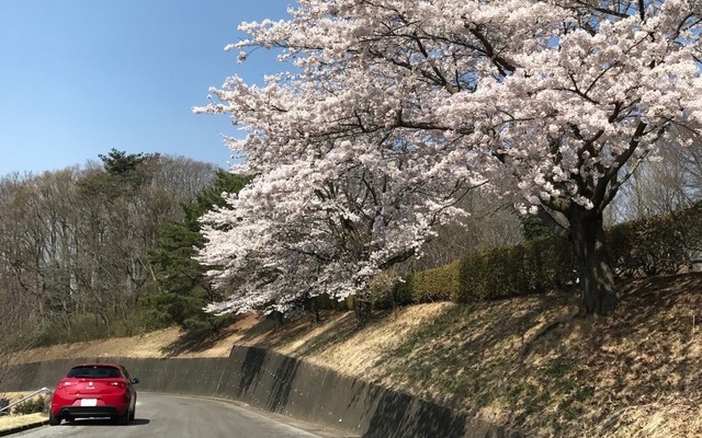 カーサイクリング