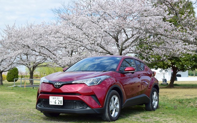 トヨタ C-HR S-T。桜の咲く栃木・渡良瀬遊水地にて。