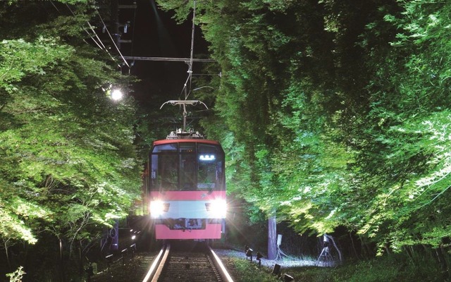 ライトアップされた「もみじのトンネル」を走る叡山電鉄の電車。