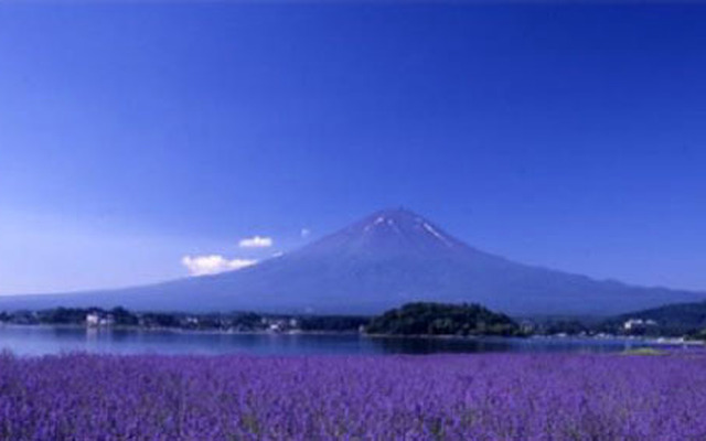 富士山