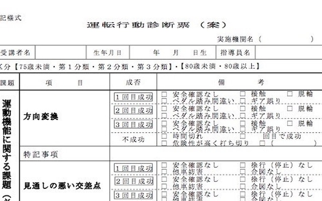 運転行動診断票（案、部分）