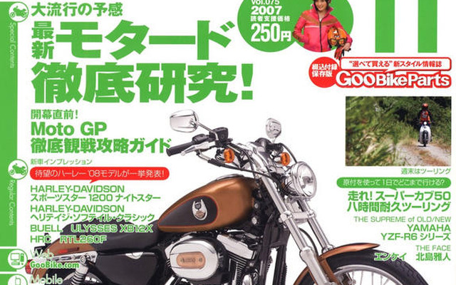 見た目がインチキなスゲーやつ。