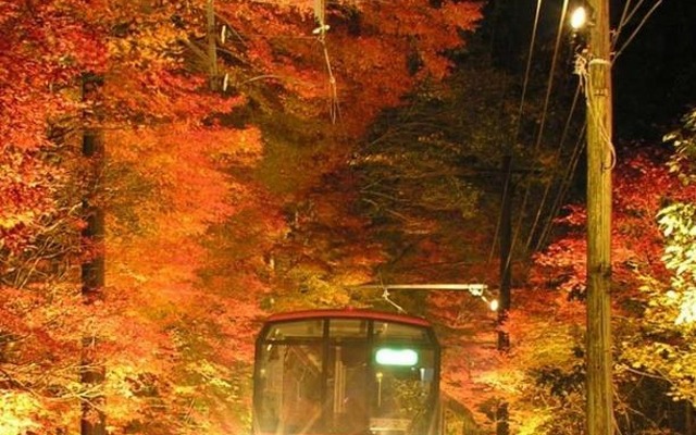 「もみじのトンネル」と呼ばれている叡山電鉄鞍馬線の市原～二ノ瀬間。今年もライトアップが実施される。