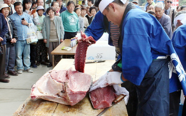 昨年実施された「マグロの解体ショー」では、宮城県の市場から朝一で直送された約65kgの天然マグロが登場！