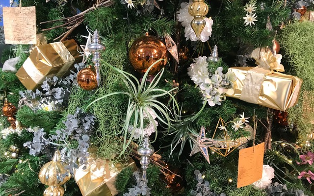 クリスマス（イメージ）