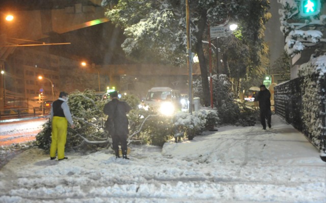 都心でも積雪20センチを超え、物損事故も増加した