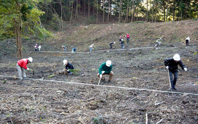 パジェロの森植林活動に、三菱自動車のボランティア50人が参加