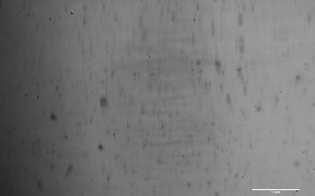 吸収剤なしのゴムを特殊試験機で撮影した接地面の画像。黒い部分（真実接触部）が少なくほとんど接触していない。