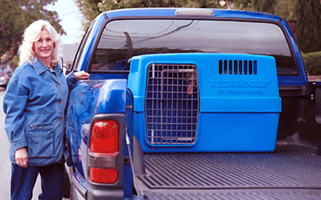 【SEMA10ベスト】ピックアップトラックに犬小屋