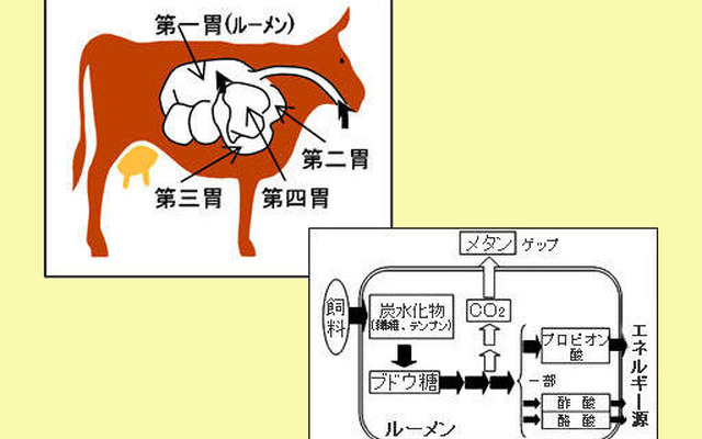 牛のゲップを抑制して温暖化防止…出光興産