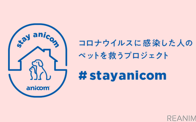 コロナ感染者のペットを預かるプロジェクト「#StayAnicom」
