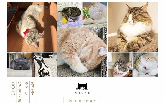 「WEBねこにすと~ねこ寝っこ篇~」