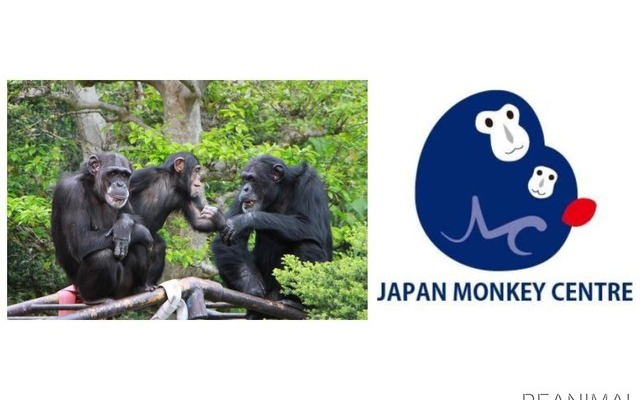 日本モンキーセンター オンラインワークショップを開催 5月5日 リアニマル レスポンス Response Jp