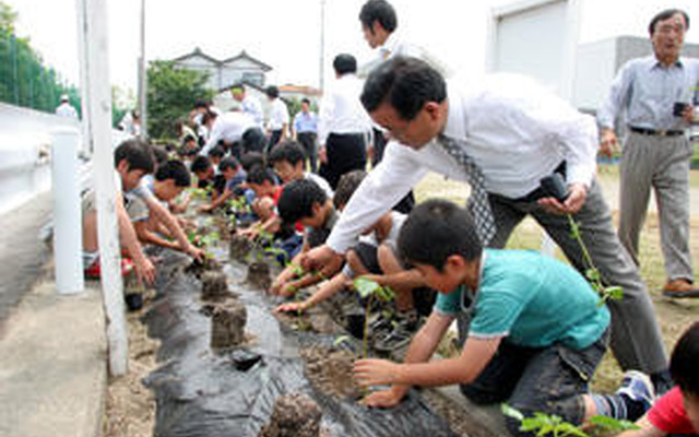 トヨタ車体、本社でケナフを植栽…地元小学生らと
