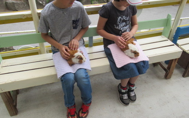 JAF長野、小諸市動物園にてJAFデーを開催