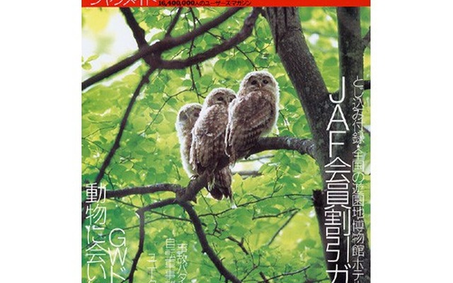 路上観察でみつけた、ユニーク標識&amp;看板