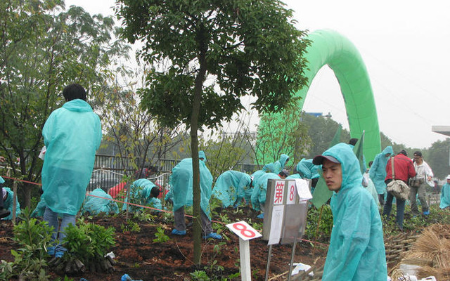横浜ゴム、中国のタイヤ生産拠点で植樹祭を開催