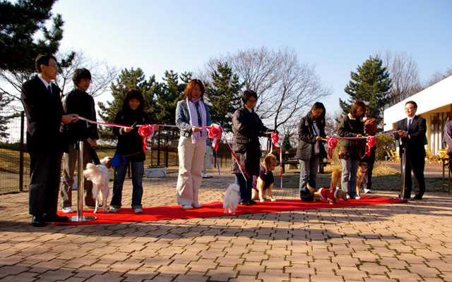 年末年始は犬を連れて…東北道 佐野SAにドッグラン