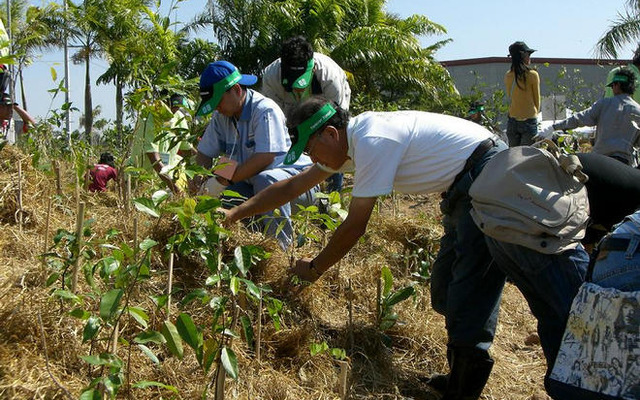 横浜ゴム、タイで植樹祭を実施