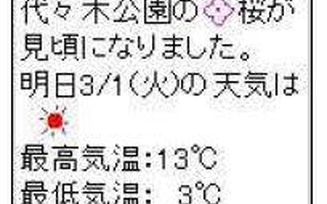 【春休み】携帯で「桜見頃メール」サービス開始…ウェザーニューズ