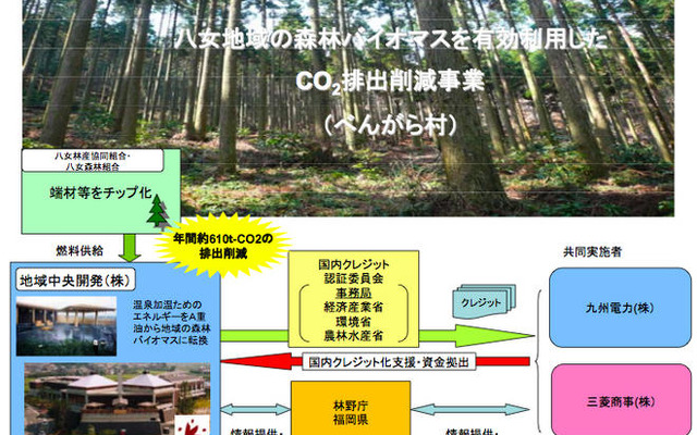 三菱商事と九州電力、森林バイオマス活用で排出削減事業へ参加