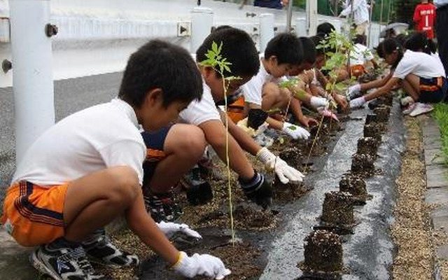 トヨタ車体、ケナフ植栽式を開催、小学生が種から育てた苗を植栽