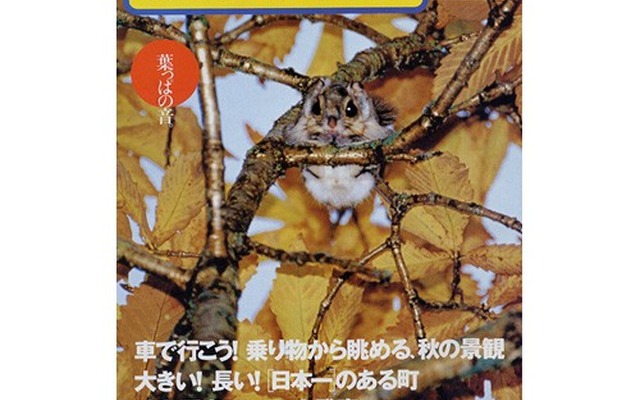 目立つ色、目立たない色……時間によって違うんだ