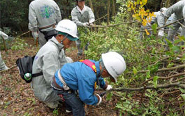 17日に高梁・JOMO ふれあいの森で実施された森林ボランティアの模様