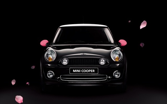 MINI meets SAKURA.EDITION NIPPON