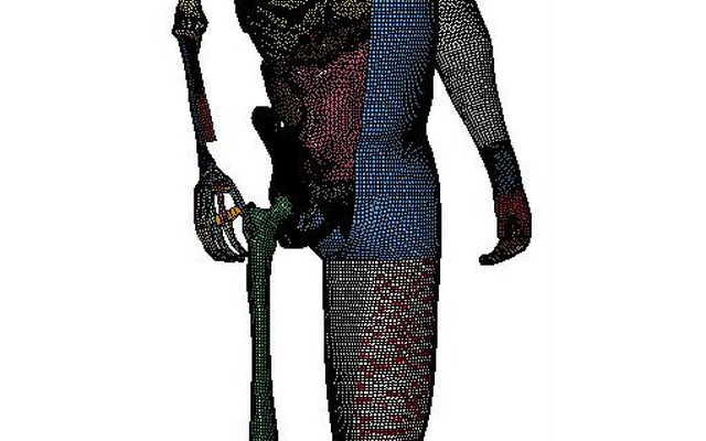 THUMS Version4