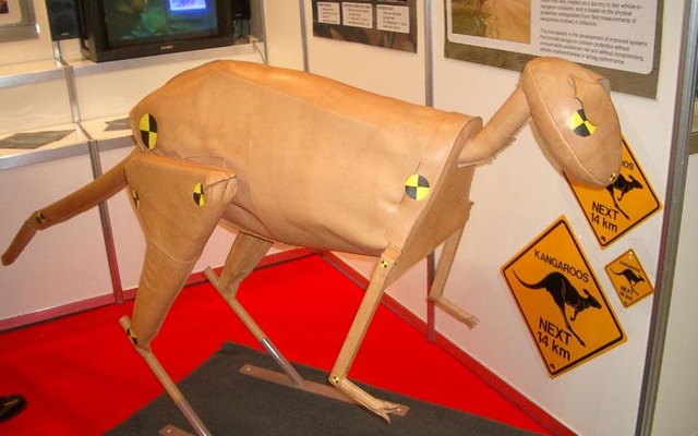 【ESV国際会議】おっと、カンガルーのダミーを発見!!