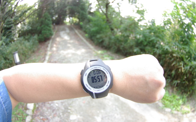GARMIN ForeAthlete 110