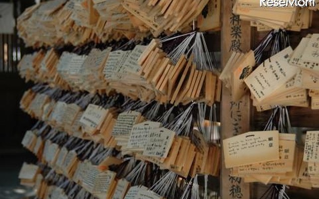 本文とは関係ありません
