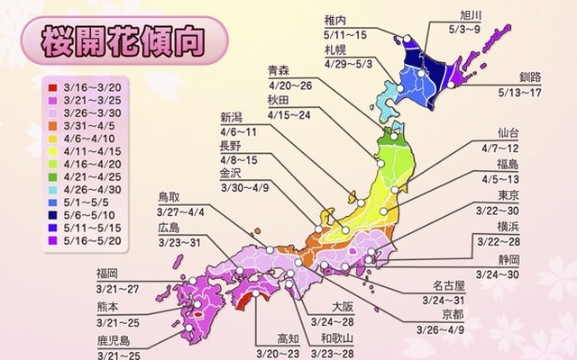 さくらプロジェクトのウェブサイトで公開された開花傾向