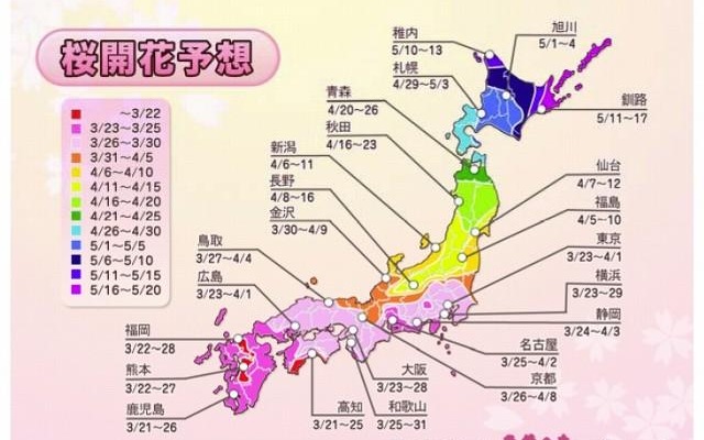 桜開花予想 桜開花予想